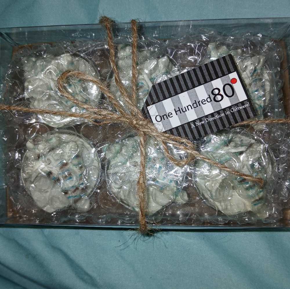 Set Of 6 Sea Shell Tea Lights